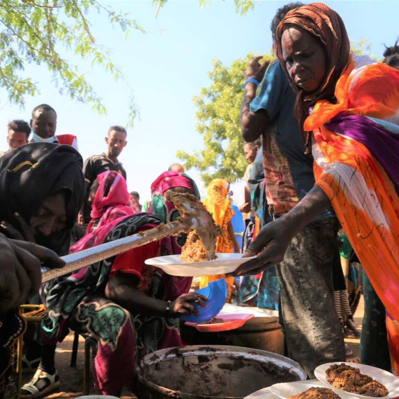 Gergesenon Malnutrition